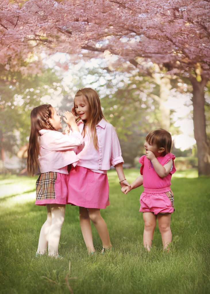 cherry blossom mertz 3psd copy